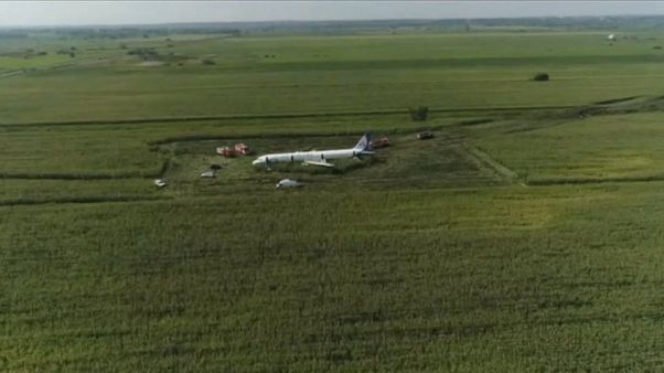 Airbus A321 столкнулся с чайками Airbus A321 столкнулся с чайками