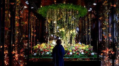 Plus de 100 000 fleurs décorent Bruxelles