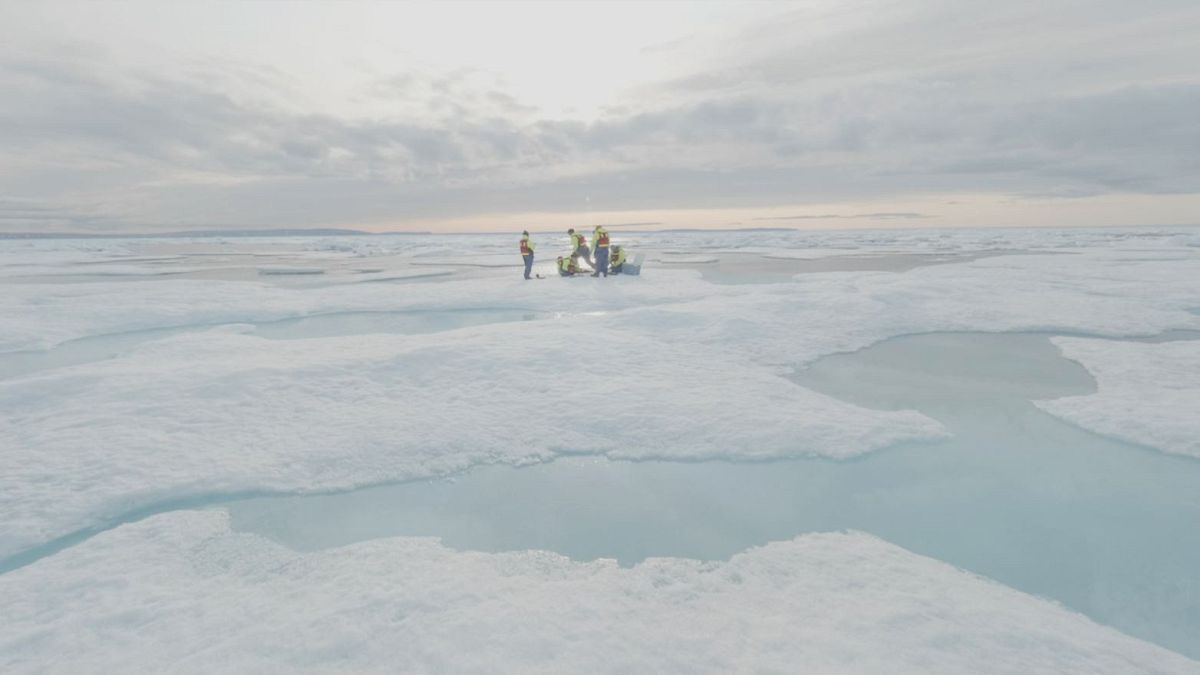 Científicos conmocionados al encontrar microesferas de plástico en el remoto hielo del Ártico
