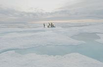 Científicos conmocionados al encontrar microesferas de plástico en el remoto hielo del Ártico