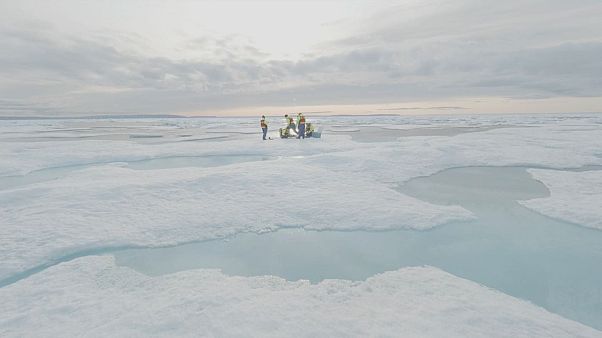 Científicos conmocionados al encontrar microesferas de plástico en el remoto hielo del Ártico Científicos conmocionados al encontrar microesferas de plástico en el remoto hielo del Ártico