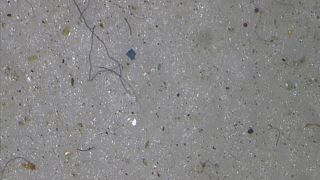 ΠΟΥ: Μικροπλαστικά σωματίδια στο πόσιμο νερό