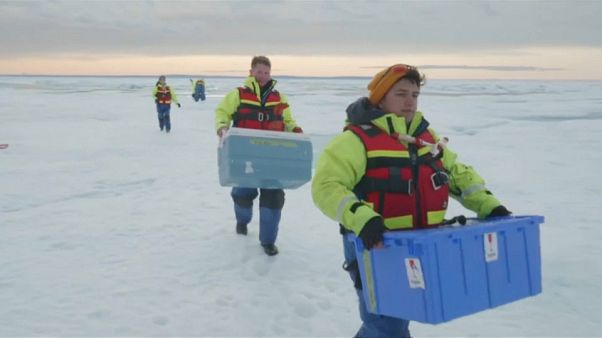 The Brief: High levels of microplastics found in Arctic snow The Brief: High levels of microplastics found in Arctic snow