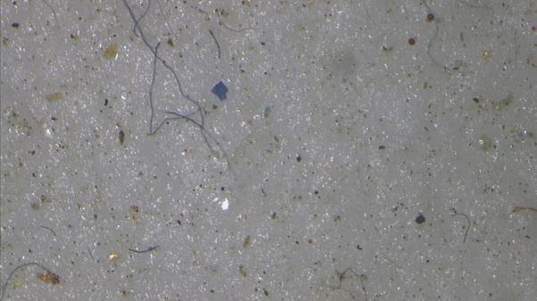 Microplastics are in our drinking water, warns WHO Microplastics are in our drinking water, warns WHO