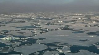Isole Svalbard: frammenti di plastica e gomma nella neve