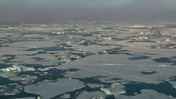 Isole Svalbard: frammenti di plastica e gomma nella neve Isole Svalbard: frammenti di plastica e gomma nella neve