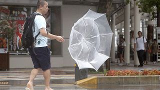 Japonya'da fırtına alarmı: Yarım milyon kişiye tahliye çağrısı; uçak ve tren seferleri iptal