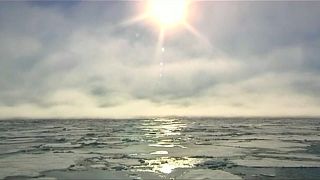Maas fordert mehr Aufmerksamkeit für Klimawandel in der Arktis