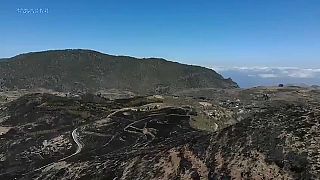 VÍDEO: Las heridas de Gran Canaria después de cinco días de incendios