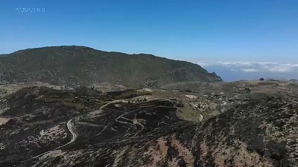 VÍDEO: Las heridas de Gran Canaria después de cinco días de incendios VÍDEO: Las heridas de Gran Canaria después de cinco días de incendios
