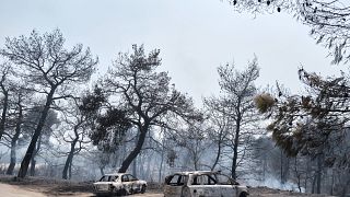 Εύβοια: Όλα τα ενδεχόμενα ανοιχτά για τα αίτια της φωτιάς