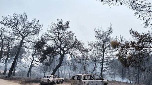 Εύβοια: Όλα τα ενδεχόμενα ανοιχτά για τα αίτια της φωτιάς Εύβοια: Όλα τα ενδεχόμενα ανοιχτά για τα αίτια της φωτιάς