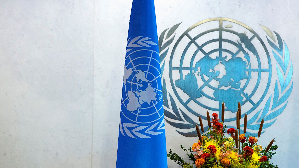 انتقادات تطال الأمم المتحدة بعد إعلانها عن عقد مؤتمر حول التعذيب في مصر