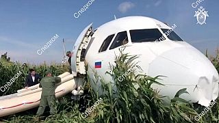 Spektakuläre Landung im Maisfeld: Piloten werden zu Helden erklärt
