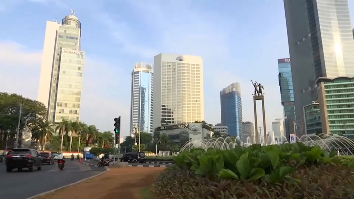 Indonesia has plans to move capital from sinking Jakarta to Borneo