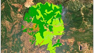 Τι κάηκε στην Εύβοια- Δορυφορική καταγραφή της καταστροφής