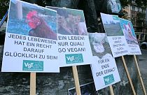 A vegán életmód lehet a klímaváltozás egyik megoldása