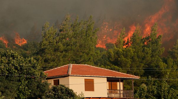 İzmir ve Muğla'daki orman yangınları büyüyor: Bazı köyler tedbir amaçlı boşaltıldı İzmir ve Muğla'daki orman yangınları büyüyor: Bazı köyler tedbir amaçlı boşaltıldı