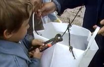 Dominóhatást indított a Páneurópai Piknik