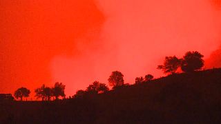 Türkei: Waldbrände vernichten 100 Hektar Wald