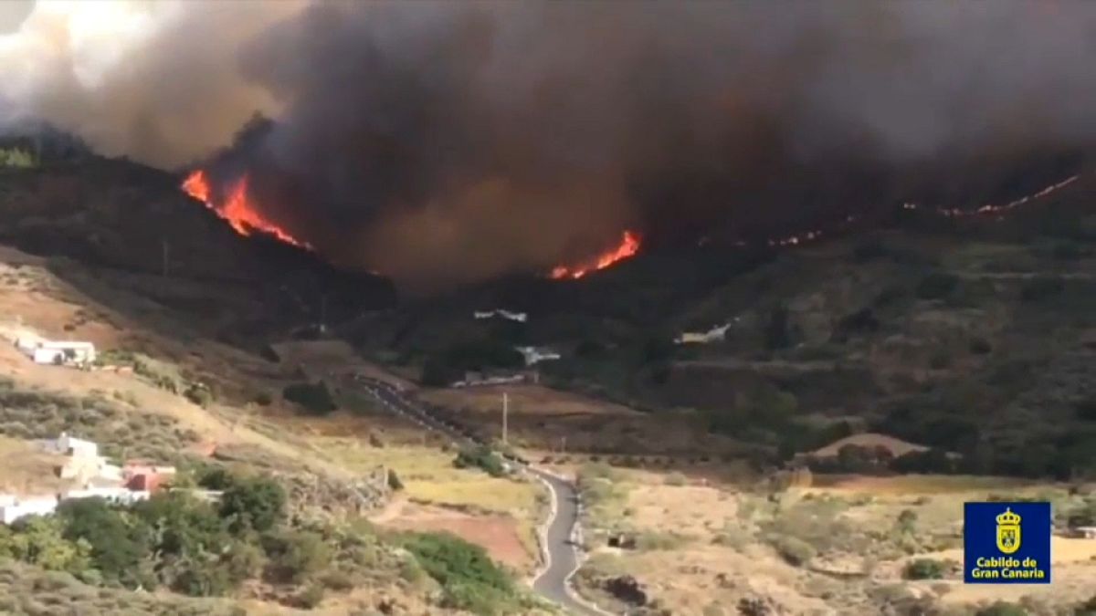 Verheerender Waldbrand auf Gran Canaria