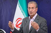 دولت ایران «اعتراف‌‌‌های ساختگی» برخی متهمان ترور دانشمندان هسته‌ای را تایید کرد