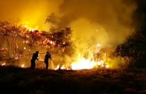 Kanarya Adaları'nda orman yangınları rüzgarın etkisiyle yayılıyor