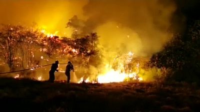 شاهد: استمرار حرائق الغابات في جزر الكناري
