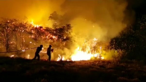 Incêndio na ilha de Gran Canária faz nove mil deslocados Incêndio na ilha de Gran Canária faz nove mil deslocados