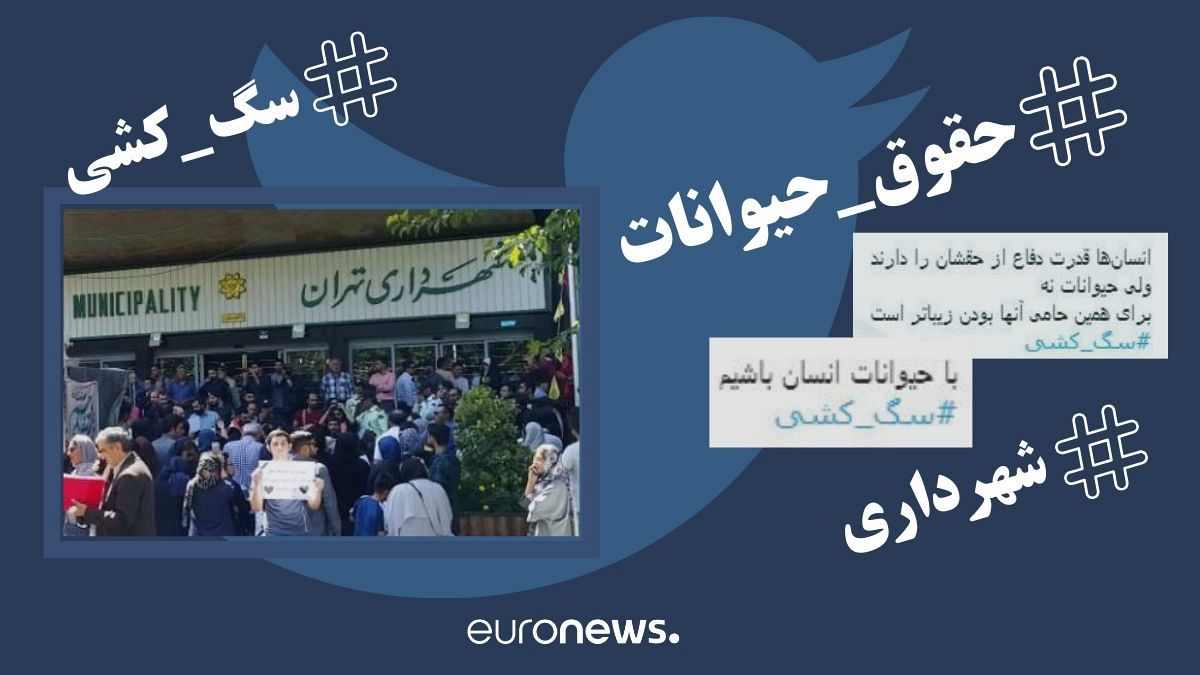 واکنش‌ها به سگ‌کشی تهران؛ از تومار شهروندان تا توییت شهردار