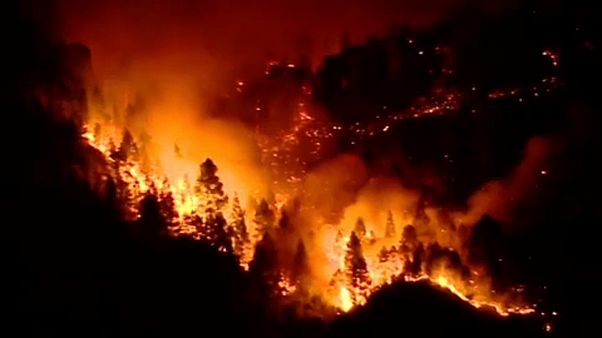 Incêndio na Grã Canária perde força mas ainda está por dominar Incêndio na Grã Canária perde força mas ainda está por dominar