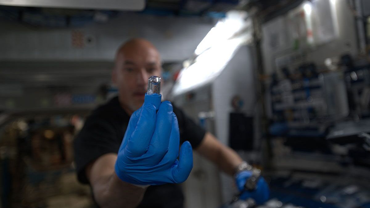 Kőzetet bontó baktériumot tesztelnek a Nemzetközi Űrállomáson