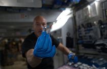 Kőzetet bontó baktériumot tesztelnek a Nemzetközi Űrállomáson
