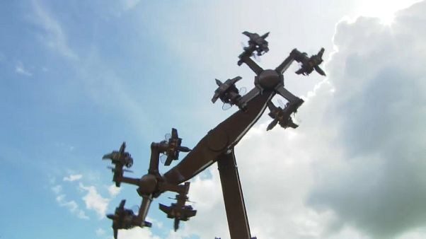 La polémica atracción en marcha en el parque "Tatzmania", La polémica atracción en marcha en el parque "Tatzmania",