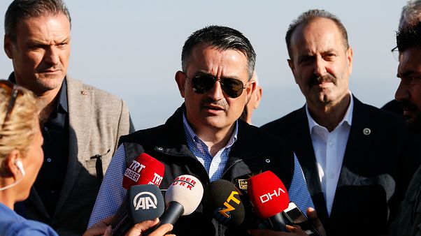 Pakdemirli: İzmir'de orman yangını kontrol altında, Kasım ayında dikim rekoru deneyeceğiz Pakdemirli: İzmir'de orman yangını kontrol altında, Kasım ayında dikim rekoru deneyeceğiz