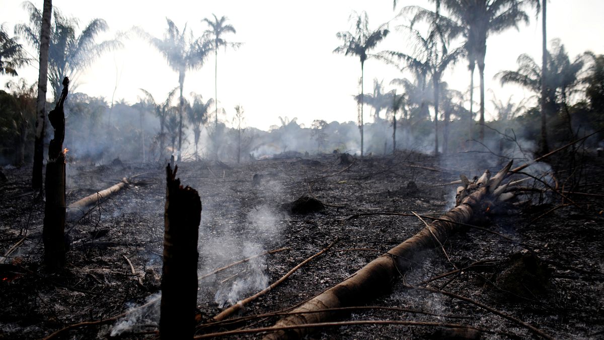Rekord-Brände in Brasilien: Die grüne Lunge der Erde steht in Flammen