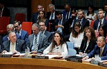 ایران محور نشست شورای امنیت؛ حامیان تهران چه کشورهایی بودند؟