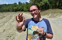 ميراندا هولينغزهيد