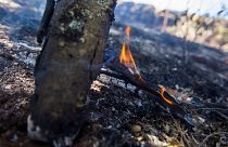 Nagyrészt sikerült megfékezni az erdőtüzet Gran Canarián