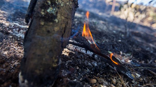 Remite el fuego en Gran Canaria Remite el fuego en Gran Canaria