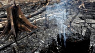 21 août 2019, brûlis à Novo Airao, au Brésil