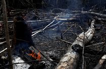 Μπολσονάρου κατά ΜΚΟ για τις φωτιές στον Αμαζόνιο