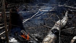 Μπολσονάρου κατά ΜΚΟ για τις φωτιές στον Αμαζόνιο