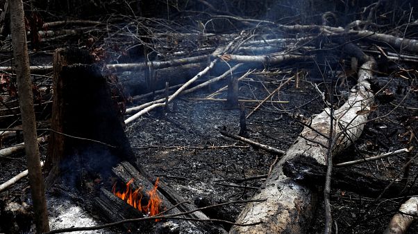 Μπολσονάρου κατά ΜΚΟ για τις φωτιές στον Αμαζόνιο Μπολσονάρου κατά ΜΚΟ για τις φωτιές στον Αμαζόνιο