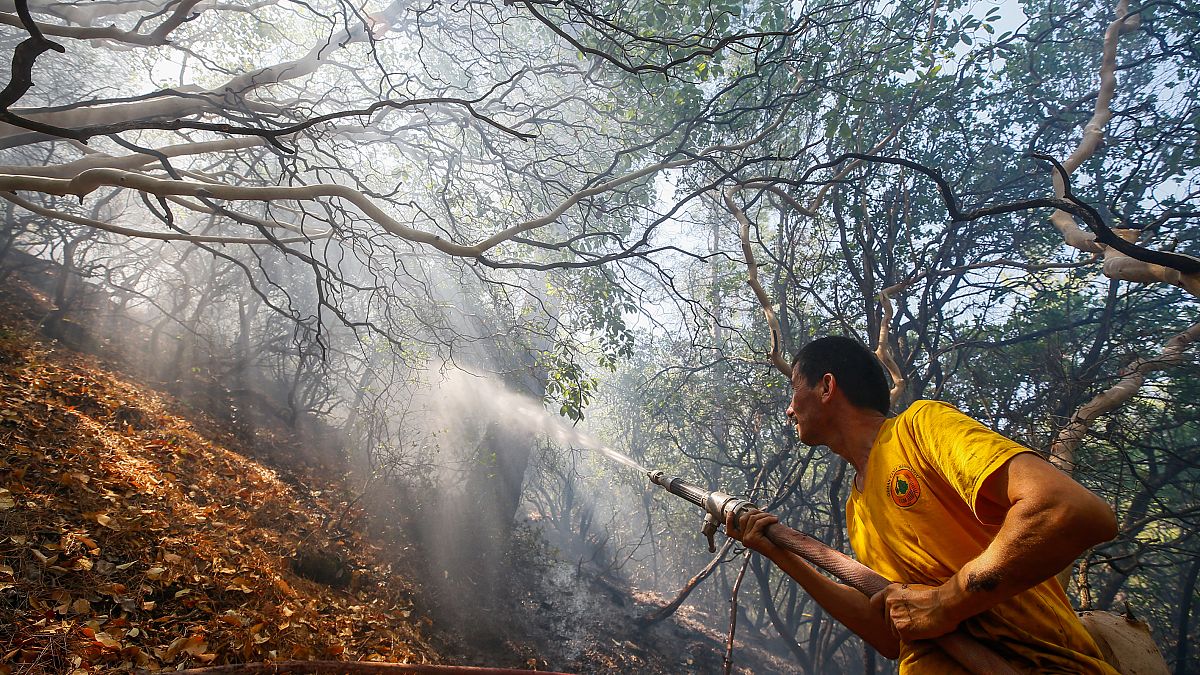 Tunç Soyer'den orman yangınları sonrası İzmirlilere buluşma çağrısı