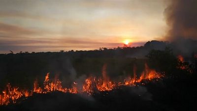 Brazil's Bolsonaro blames Amazon fires on NGOs making 'problems'