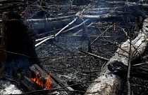 Bolsonaro acusa a las organizaciones ambientales de estar detrás de los incendios