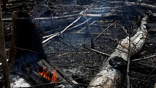 Bolsonaro acusa a las organizaciones ambientales de estar detrás de los incendios
