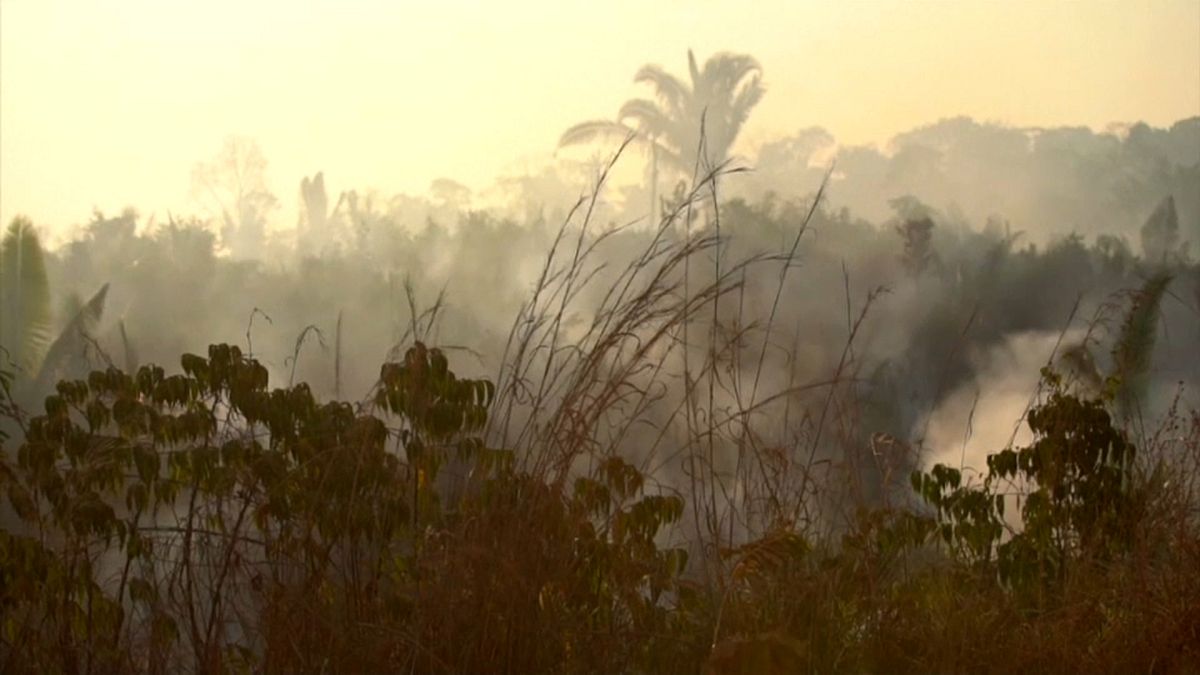 Kampf um die Amazonas-Wälder