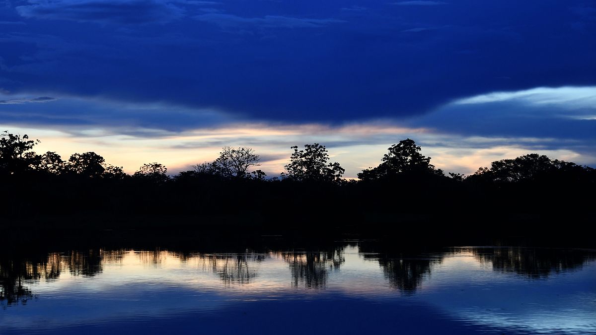 L'Amazonie essentielle ! Sans elle, la Terre ne respirera plus